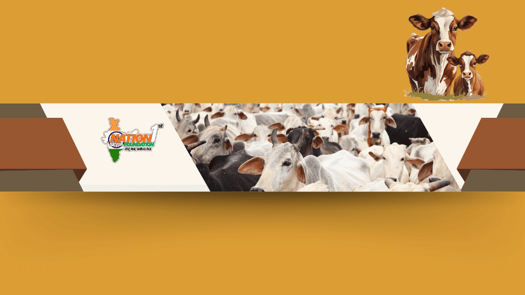 Donate to Nation First